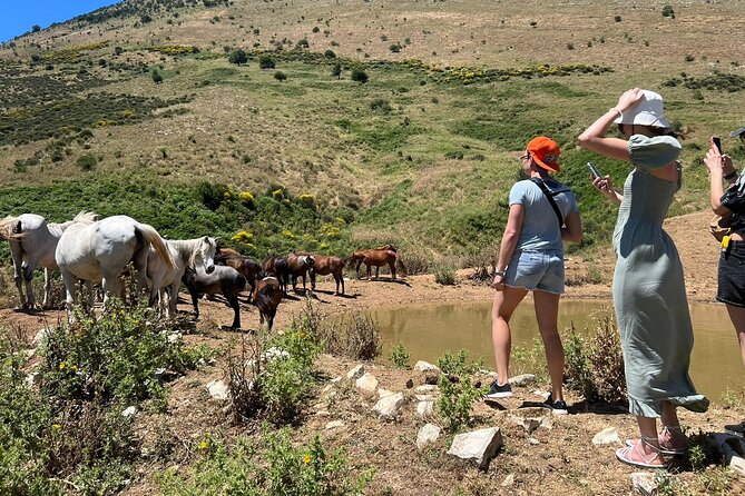 1-Day Tour in Blue Eye, Monastery, Gjirokaster and Lekursi Castle - Price and What You Actually Get for $44.65