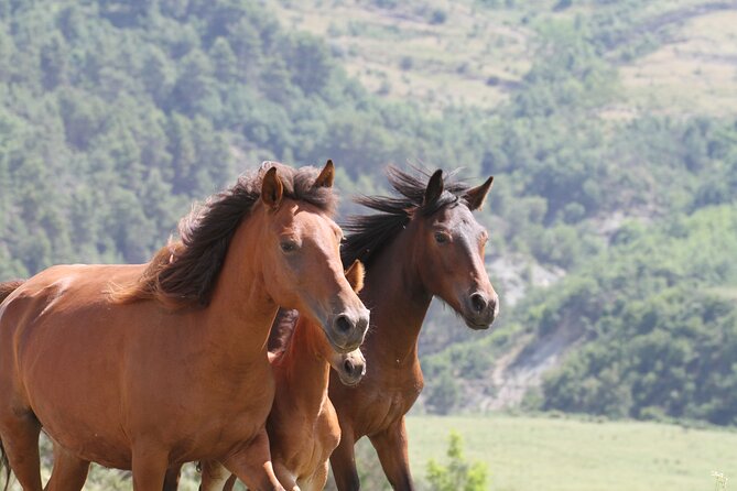 2-Hours Guided Drino's Valley Ride - The riding level reality: what experienced really means