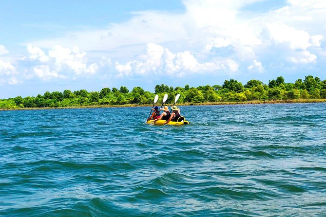 Albania Birdwatching, Kayaking, Bicycle National Park Divjaka Karavasta(ARG) - Key points
