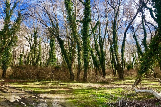Albania Birdwatching, Kayaking, Bicycle National Park Divjaka Karavasta(ARG) - Optional bike ride or SUV safari: choose your kind of exploring