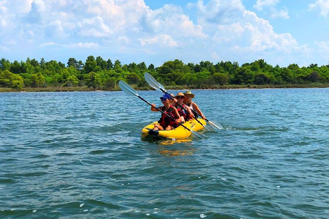 Albania Birdwatching, Kayaking, Bicycle National Park Divjaka Karavasta(ARG) - 10:00 a.m. start at Divjake Karavasta, then straight to the lagoon