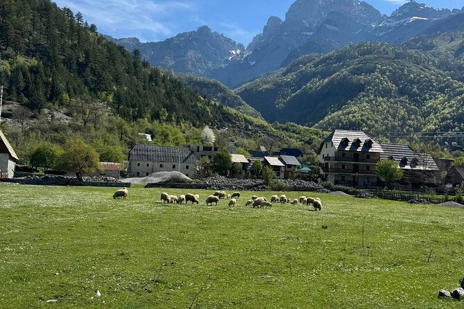 Albanian Alps and Theth Village Day Tour from Tirana - What the guides really do with a max group size of 15