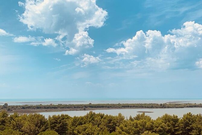 Albanian Gems: Berat and Karavasta Lagoon Day Trip - Karavasta Lagoon in Divjake-Karavasta National Park