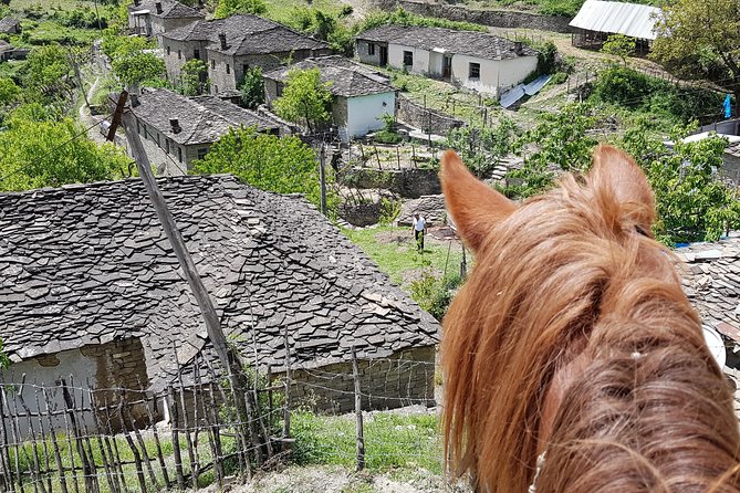 Amazing Horse Riding Experience at Vjosa National Park in Permet - Half-day timing and what 4 hours feels like in practice