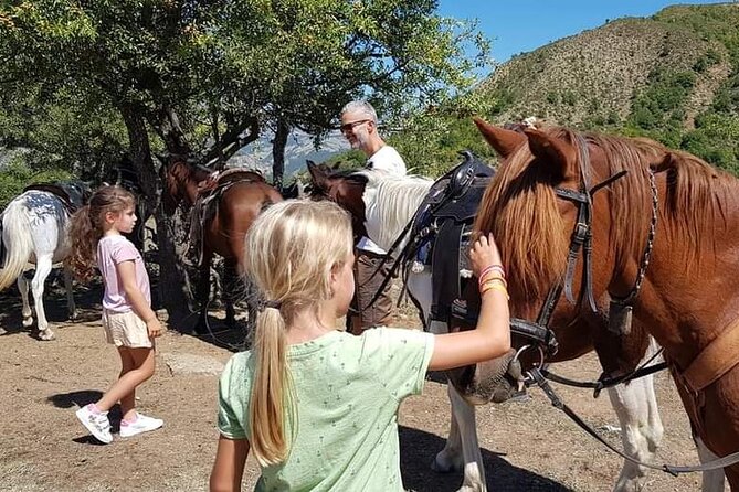 Amazing Horse Riding Experience at Vjosa National Park in Permet - Trail difficulty shifts with your riding level, and the guides adapt