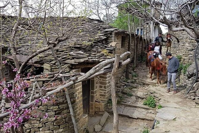 Amazing Horse Riding Experience at Vjosa National Park in Permet - Price and value: what $96.79 covers in Përmet