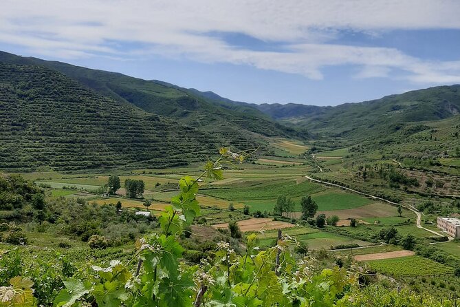 Berat 4x4 Off-Road and Vineyard Wine Tasting - What’s Actually Included, and Where the Value Comes From