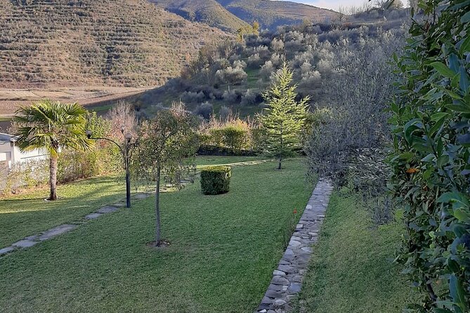 Berat 4x4 Off-Road and Vineyard Wine Tasting - Timing Tips for a Better Late-Afternoon Wine Outing