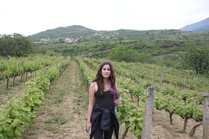 Berat Grand Wine Tasting & Food Tour - Lunch or dinner after your second tasting, and how to budget