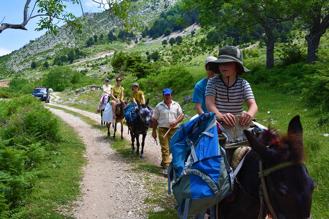 Berat Hiking Off Road picnic lunch in Tomori Holy Mount - Qafe Dardhe shepherds and mules: the part kids usually remember first