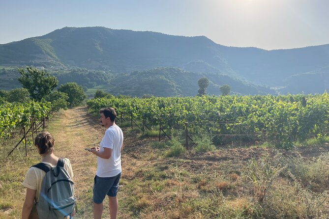 Berat | History & Local Food - From Tirana to Berat: smooth logistics that protect your time