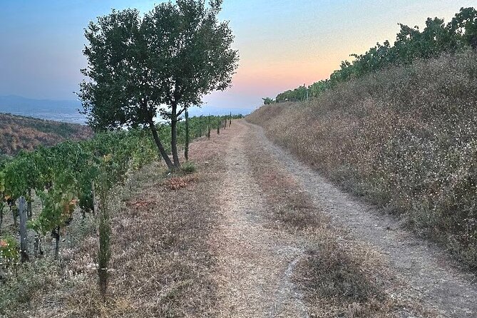 Berat Private Sunset Tour with Wine and Fruits - Key Things I’d Focus On