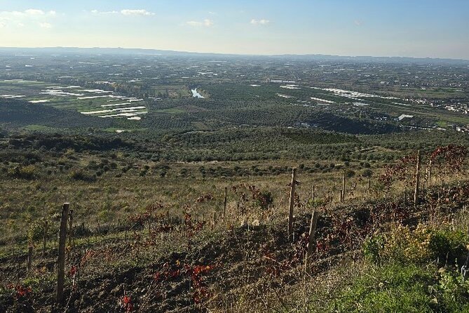 Berat Private Sunset Tour with Wine and Fruits - Who This Private Sunset Tour Fits Best
