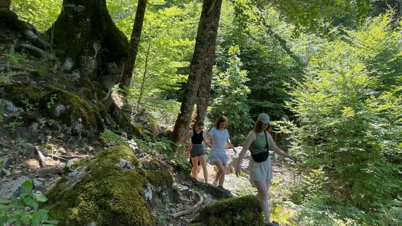 Berat: Tomorr Mountain and Lakes of Dardhë Day Trip - Starting in Berat and the 1.5-hour 4x4 ride to the park