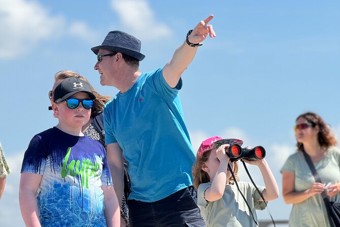 Birdwatching Experience in Narte Lagoon & Akerni Dunes - Stop 1 at Narta: Ngjoli Road, Saltern Fields, and the First Tower