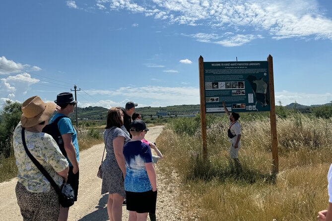 Birdwatching Experience in Narte Lagoon & Akerni Dunes - Stop 2 at Akërni: Hidrovorri Forest to Sandy Dunes