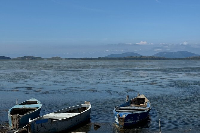 Birdwatching Experience in Narte Lagoon & Akerni Dunes - Restaurant Dolphin Break: Local Flavors Without Killing the Wildlife Time