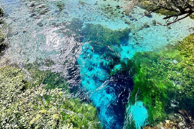 Blue Eye And Lekuresi Castle, 4 Hour Nature and Historical Tour - Wading and swimming: how to enjoy it without fighting the cold
