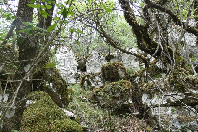 BOGOVA WATERFALL & WINERY TOUR from Berat by 1001 AA - The guide is part of the value, not just background
