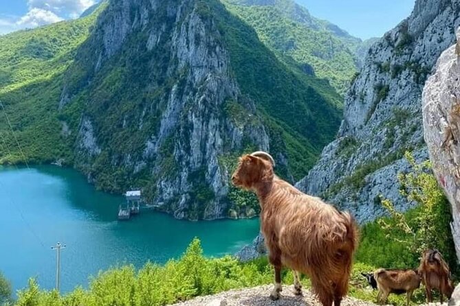 Bovilla Lake and Gamti Mountain Tour from Durres or Golem - Weather and footwear: the two variables that decide your comfort