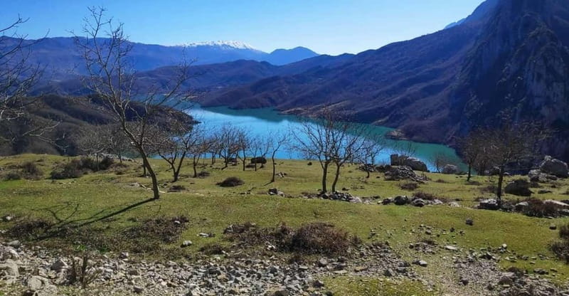 Bovilla Lake, Hiking and Swimming, Day Tour - Getting from Tirana to Bovilla Lake, without wasting your half-day