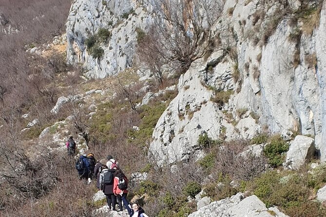Bovilla lake Hiking Experience - Lake Bovilla Guided Walk: Views, Flora, and a Ticket Included