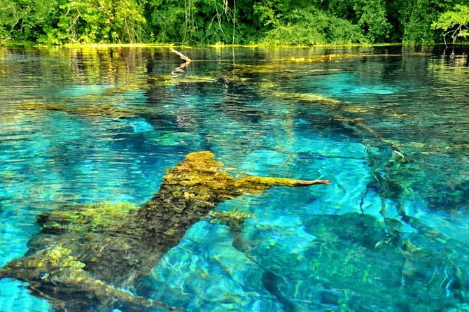 Butrint, Blue Eye, Ksamil and Lekuresi Castle Tour From Saranda - Blue Eye: a deep karst spring with walk or tourist train options