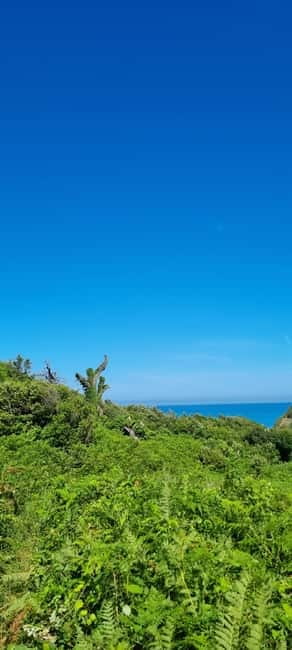 Cape of Rodon, Hiking to Castle, Beach, Wine testing tour! - Rodoni Castle ruins and the Skanderbeg-Venetian story you can picture