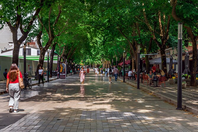 Cultural Tour in Tirana including House of Leaves - Walking from Et’hem Bey Mosque to Tirana Clock Tower views