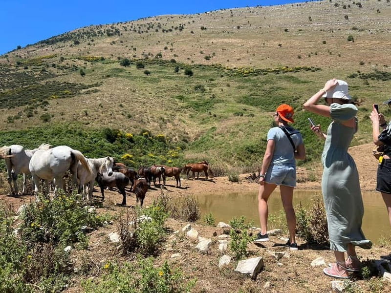 Daily Trip To:Blue Eye,Monastery,Gjirokaster&Lekursi Castle - Blue Eye, Monastery, Gjirokastër, and Lëkurësi in One Long Day