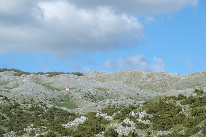 Drive a 4x4 Off-Road in the Tirana Highlands - The automatic Suzuki Jimny experience (and why it matters)