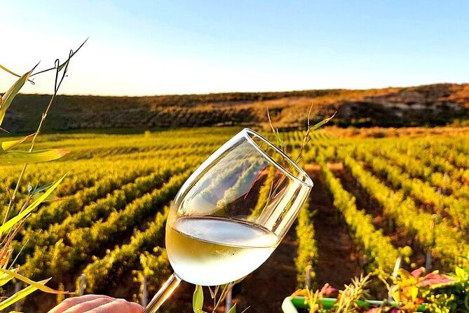 Durres Ancient City Tour and Winery Experience - Stop 4: Duka Winery and Vineyard, tasting, food, and a countryside pause
