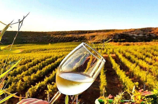 Durres Ancient City Tour and Winery Experience - Small group size, WiFi in the car, and why comfort affects history days