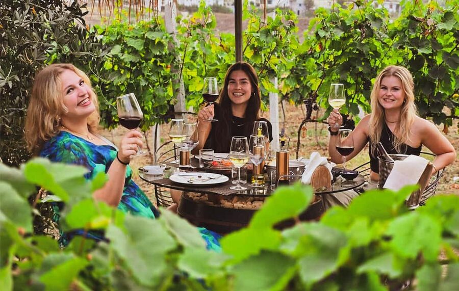 Durres Countryside Vineyards Wine Tasting & Food Pairing - Key things that make this tour work