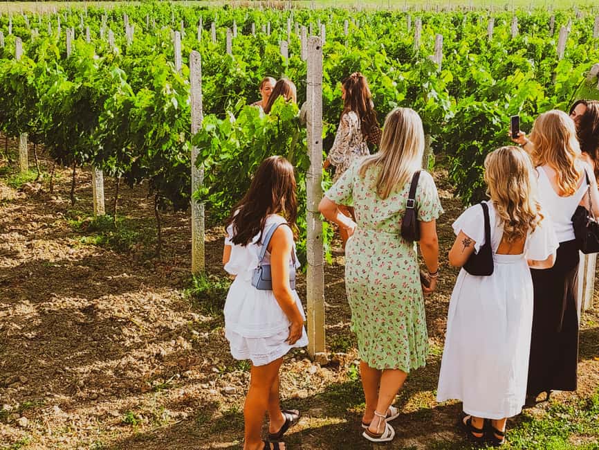 Durres Countryside Vineyards Wine Tasting & Food Pairing - The cellar tour: where Communist-era bunkers meet wine production