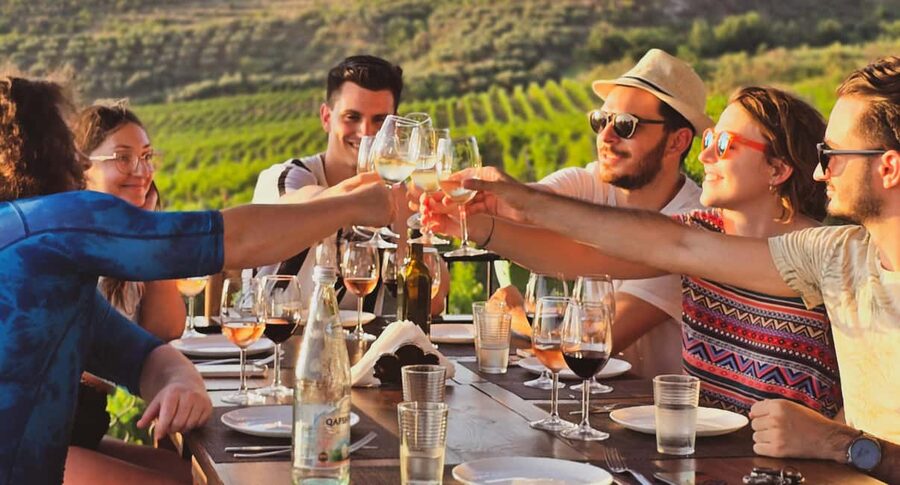 Durres Countryside Vineyards Wine Tasting & Food Pairing - Vineyards above the Adriatic: terroir you can actually picture
