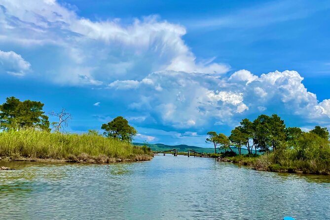 Durres & Karavasta National Park from Tirana on Luxe Land Rover - Birdwatching you can actually feel: pelicans, rare species, and side surprises