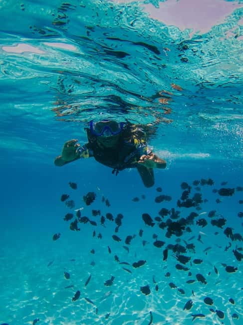 Durres & Tirana: Speed Boat Trip to Sazan, Karaburun & Cave - From Durrës, Golem, or Tirana to Vlora: the morning drive that sets the tone