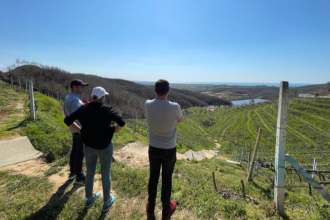 Durres & Wine Tasting Tour - Who should book this Durres and wine tasting day?