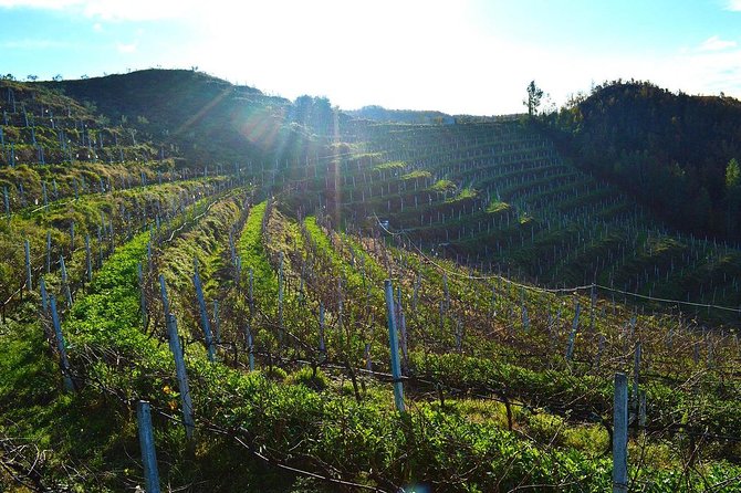 Durres & Wine Tasting Tour - Inside the Durres Amphitheater for better scale and atmosphere
