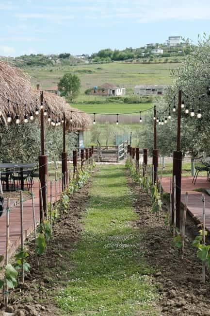 Experience Albanian Wine, daily tours from Durres - Durres Pickup, Small Group Comfort, And Why It Matters