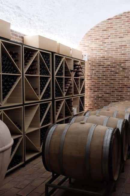 Experience Albanian Wine, daily tours from Durres - Wine Tasting With Three Wines, Two Raki, and Appetizers