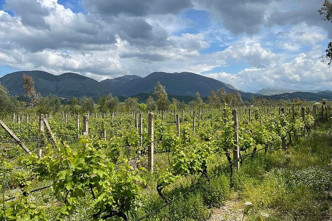 Experience Blue Eye , Lekuresi Castle and Taste Traditional Albanian Wine - Who This Tour Fits Best (and Who Should Think Twice)