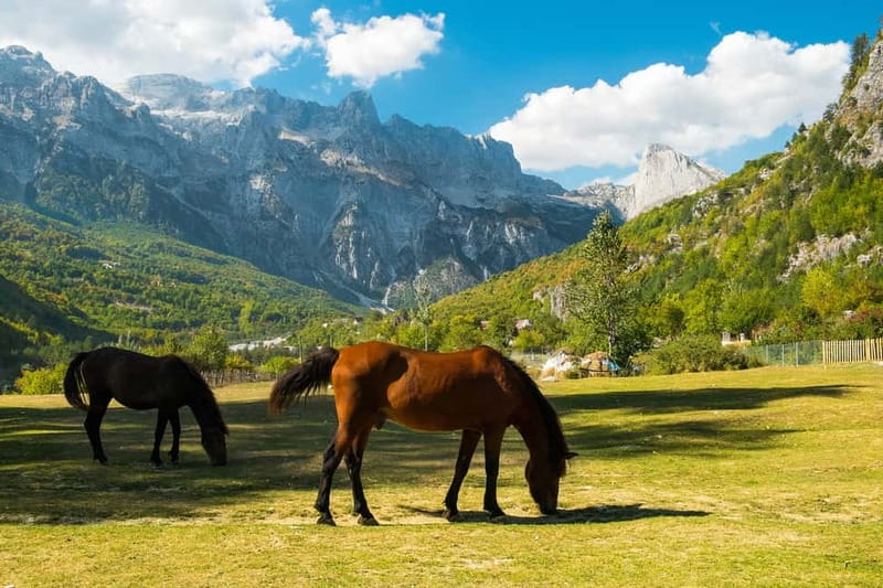 Explore Theth in a Day from Tirana - Albania’s Best Escape - Qafe Thore stop: the panoramic reset point