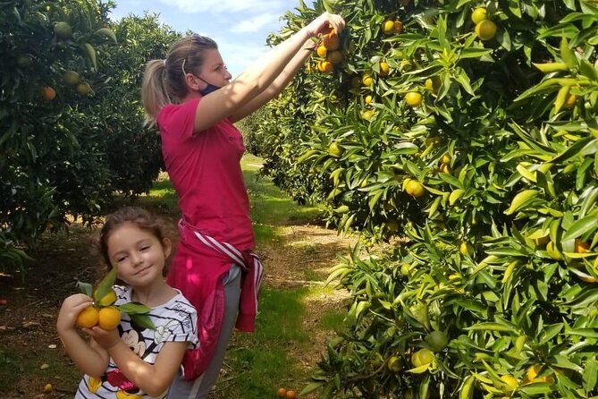 Family Mandarin Farming Tour with Traditional Cooking Lunch - Who should book this (and who might not love it)