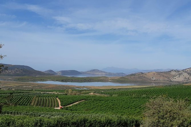 Family Mandarin Farming Tour with Traditional Cooking Lunch - Stop 1 near Butrint National Park: orchard work and a hilltop picnic