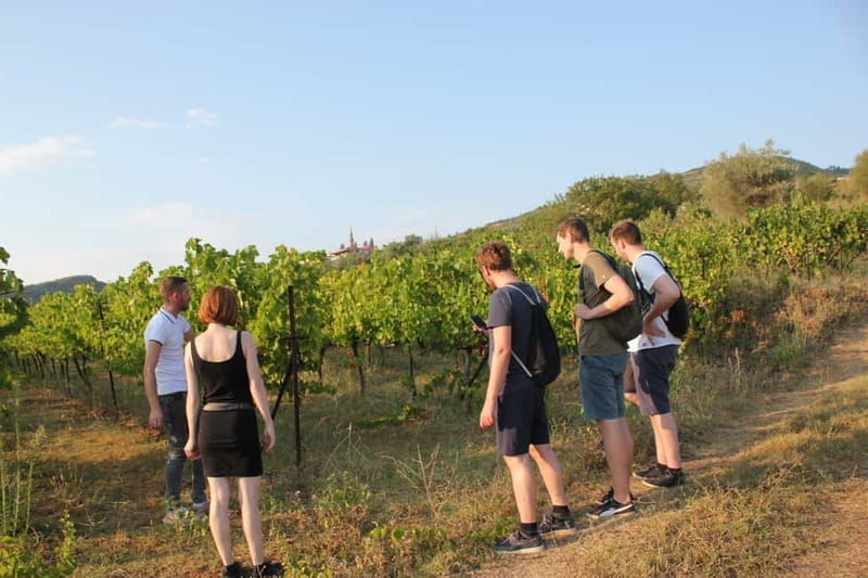From Berat: Guided Winery Tour with Transfers and Tastings - Meeting in Berat: the calm, central start that keeps things easy