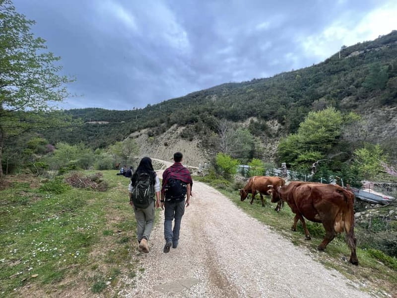 From Berat: Osumi Canyon and Bogova Waterfall tour. - Key highlights at a glance
