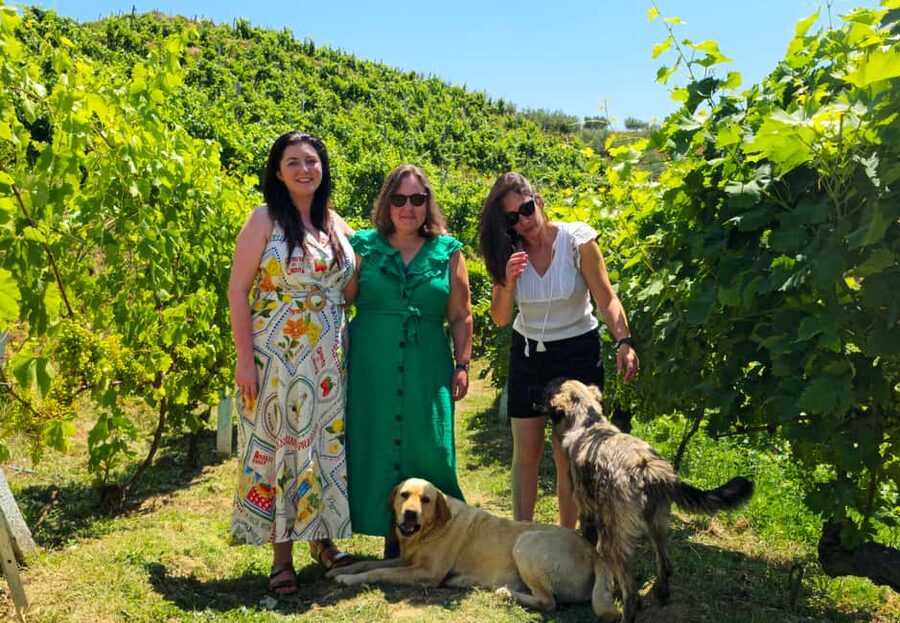 From Durrës: Albanian Wine Tasting with Vineyard & Boat Tour - Durres District wine tour: the best way to taste Albania in 5 hours