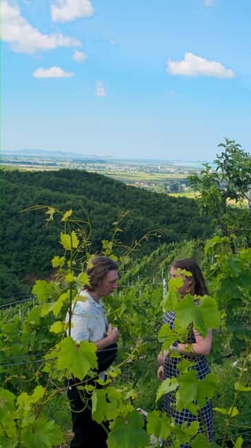 From Durrës: Albanian Wine Tasting with Vineyard & Boat Tour - Who this tour fits best in Durres